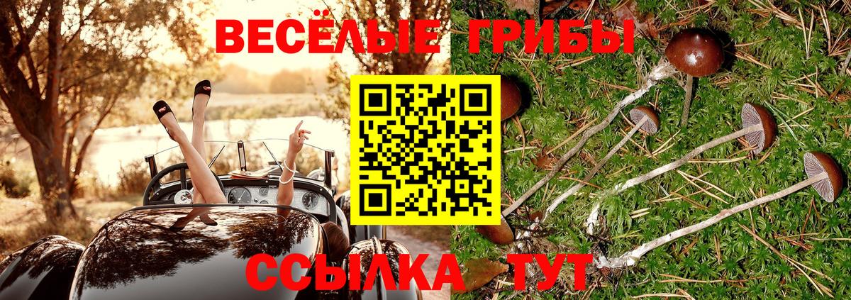 Псилоцибиновые грибы GOLDEN TEACHER  Вход с VPN  Еманжелинск 
